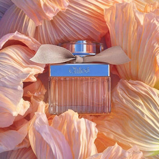 Eau de Parfum30mlKadın ParfümüDuftCollection