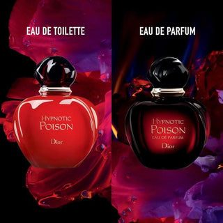 Eau de Toilette100mlKadın ParfümüDuftCollection