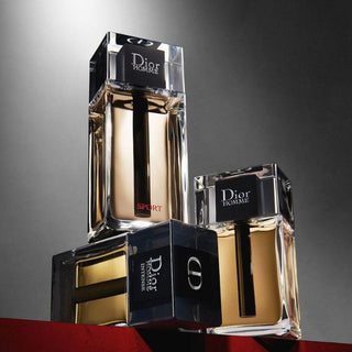 Eau de Parfum100mlErkek ParfümüDuftCollection