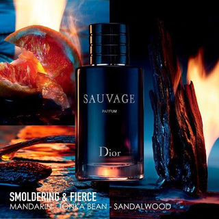 Parfum200mlErkek ParfümüDuftCollection